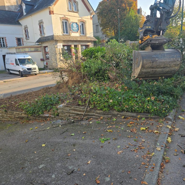 Poubelles adorées, espaces verts détestés