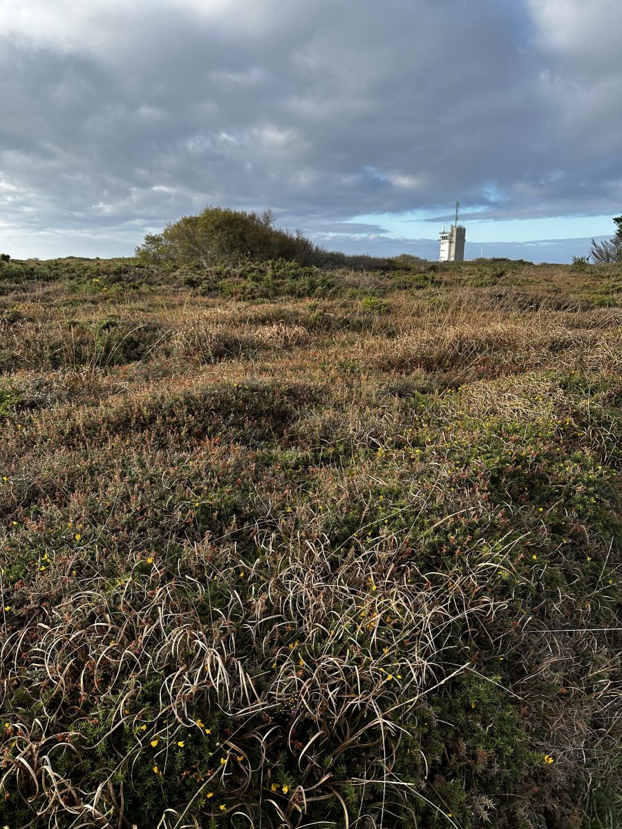 CROZON, escapade sur la presqu'île.