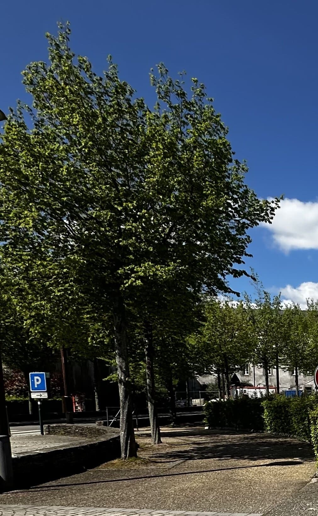 PLU PLOERMEL, une révision pleine de polémiques