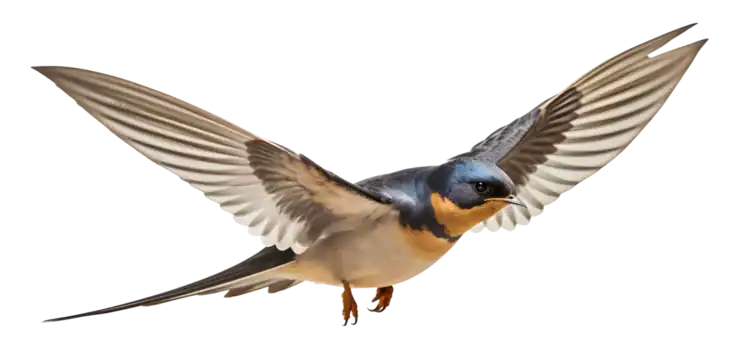 Gauche: les partielles ne font pas le printemps !